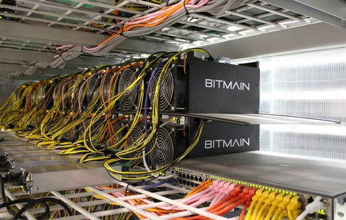 Industrial-scale mining farm hosting multiple rigs